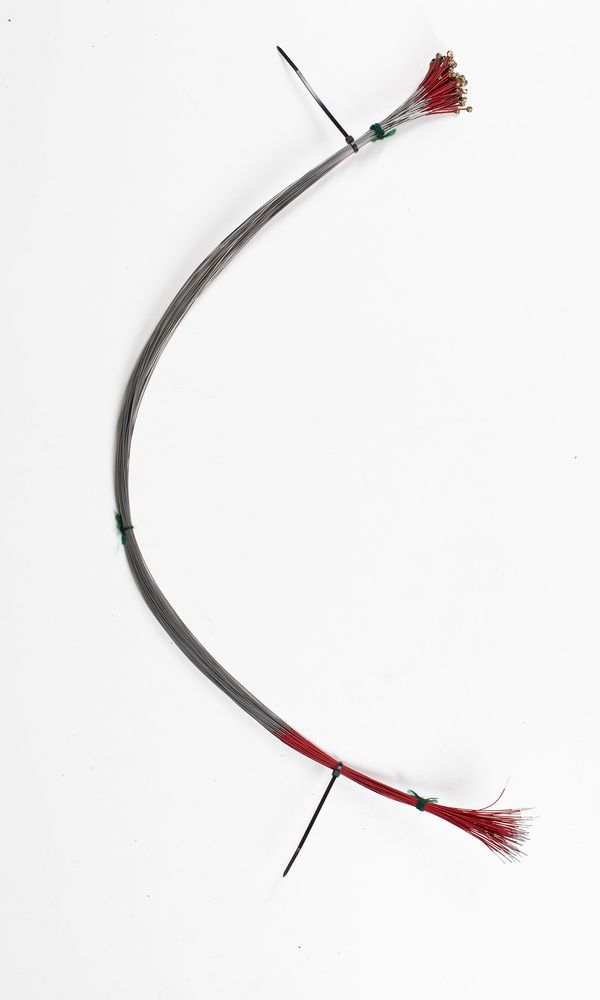 Sixty-three viola D strings