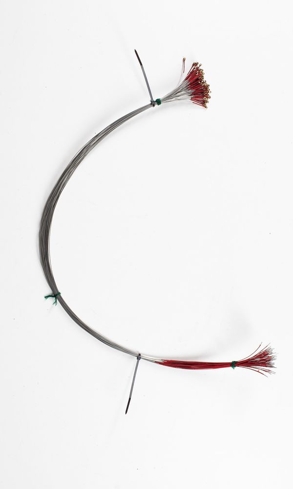 Sixty-four viola D strings