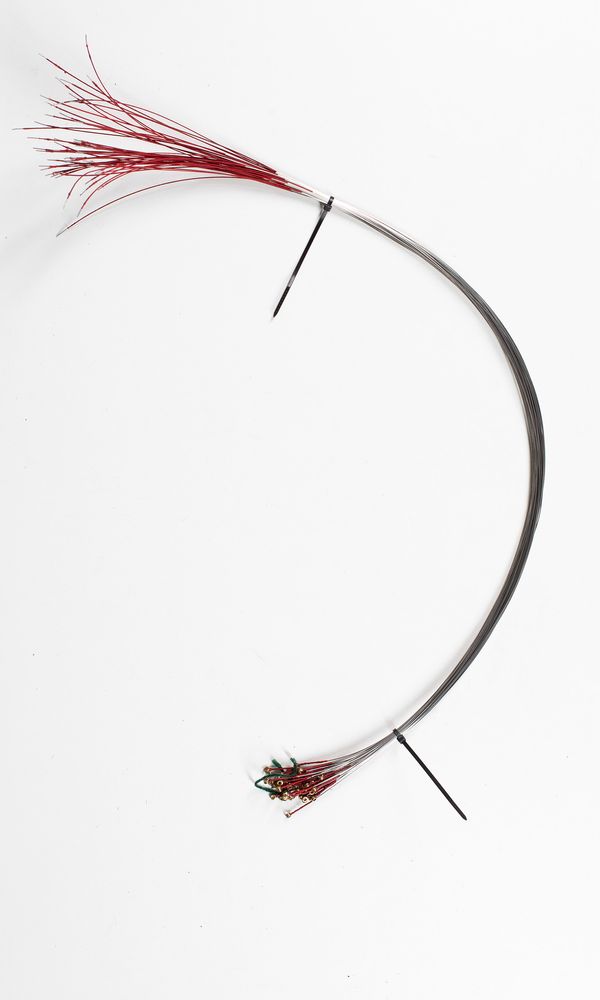 Fifty-one viola D strings