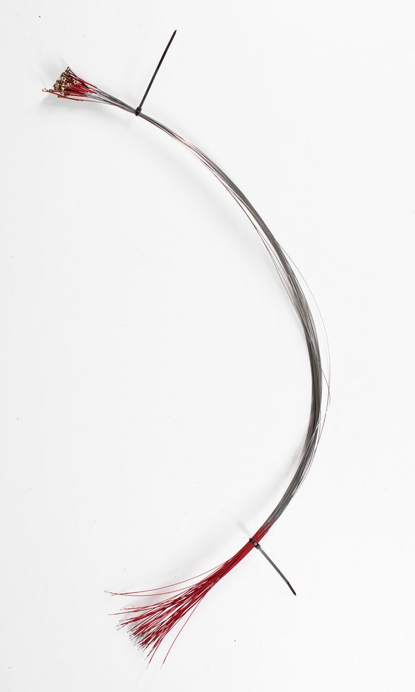 Forty-one viola D strings