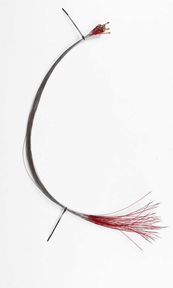 Forty viola D strings