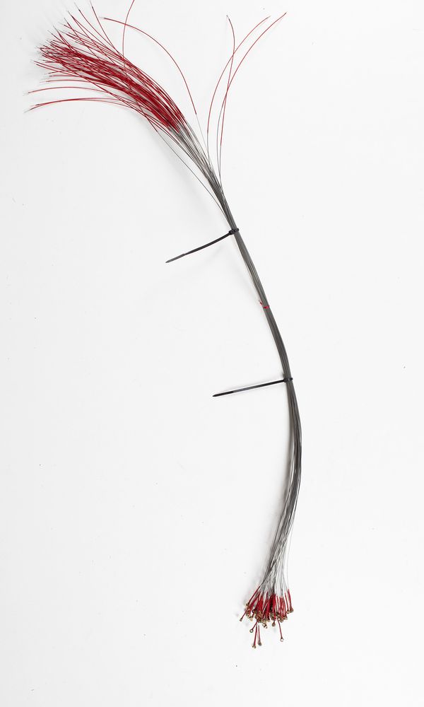 Fifty-one viola D string