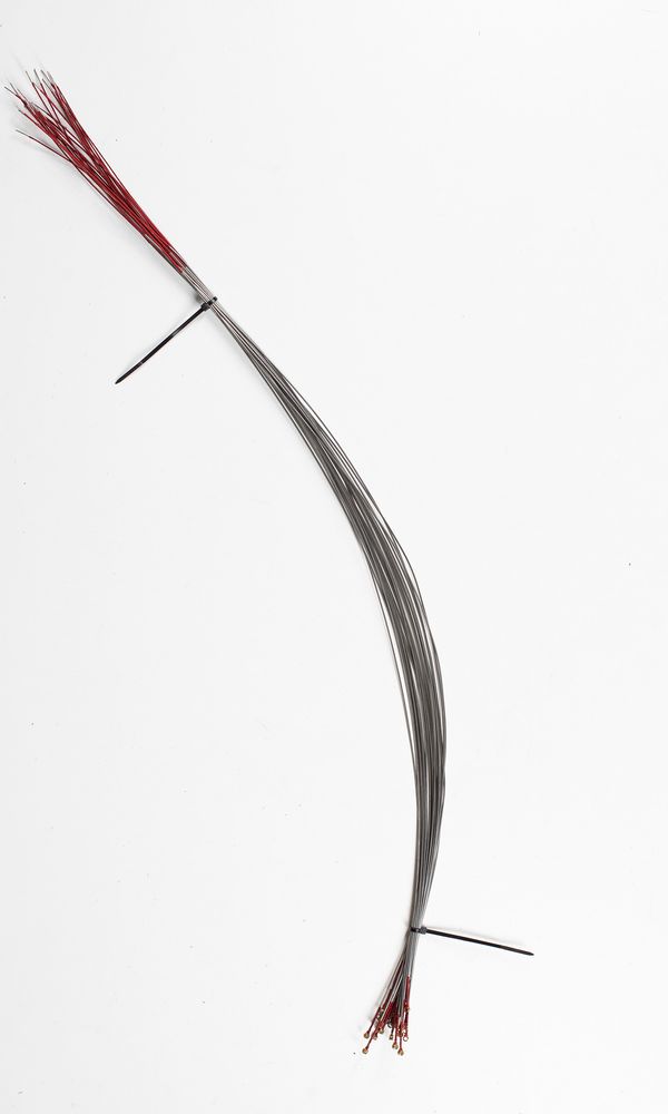 Twenty-five viola C strings