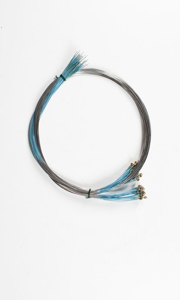 Fifty-one cello A strings