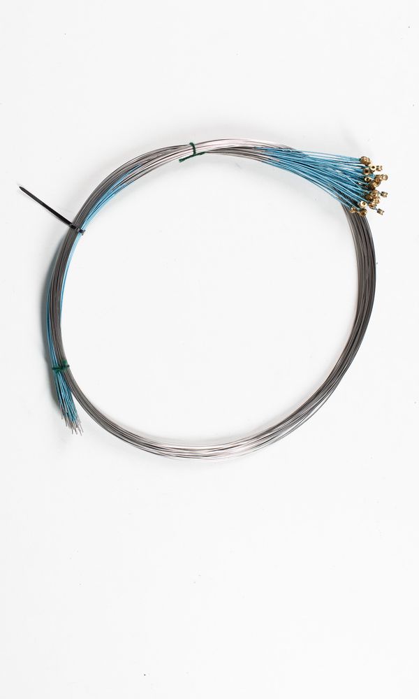 Fifty-one cello A strings