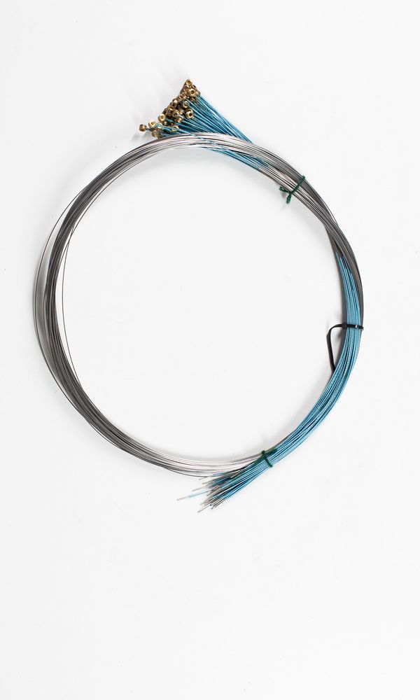 Fifty-one cello A strings