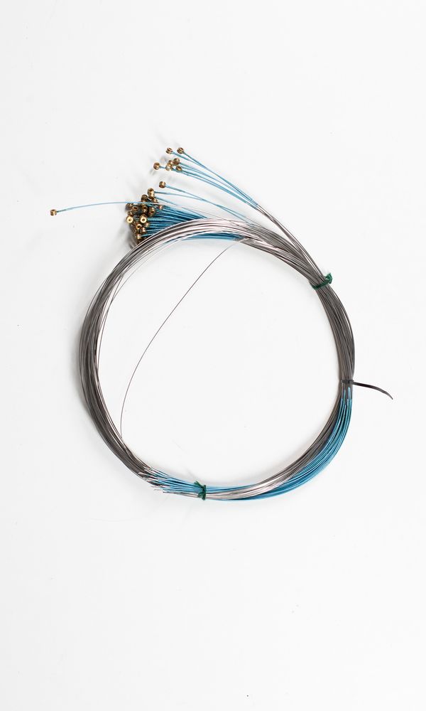 Fifty-one cello A strings