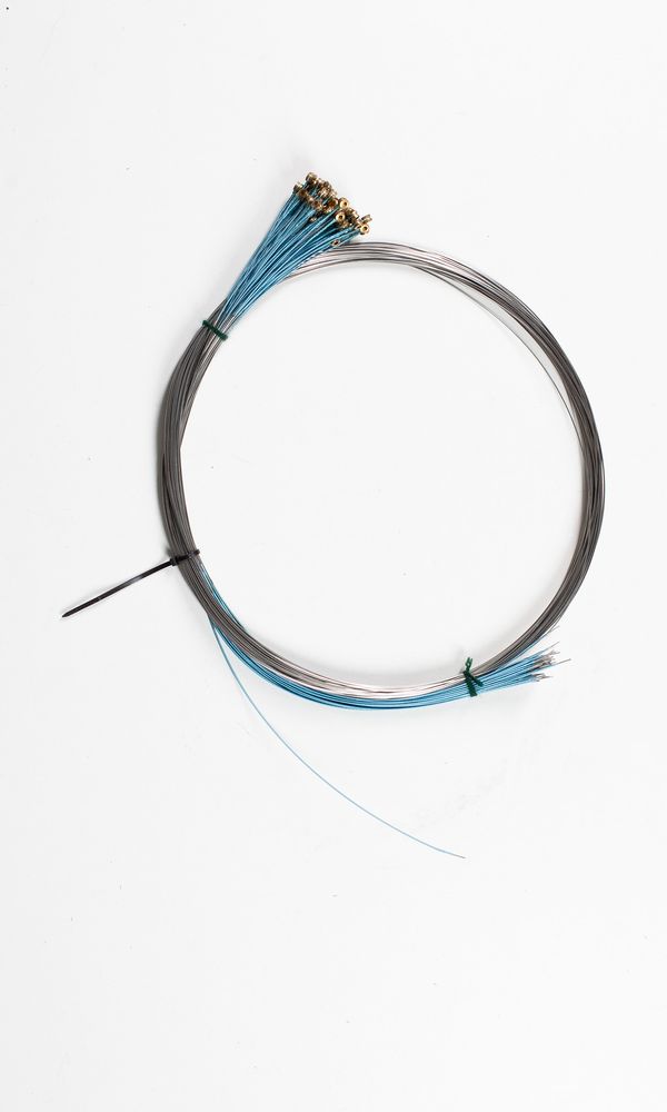 Fifty-one cello A strings