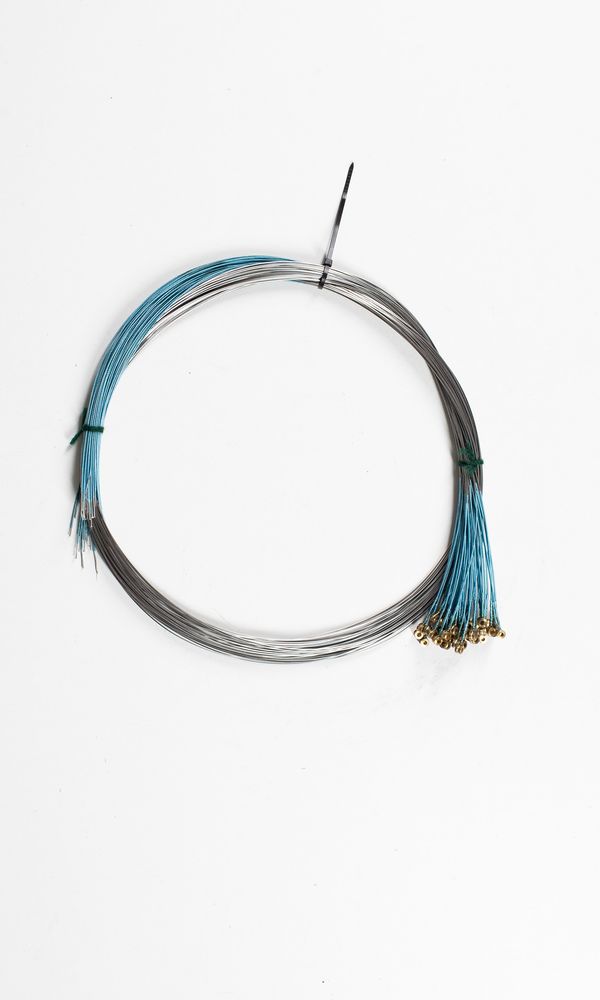 Fifty-one cello A strings