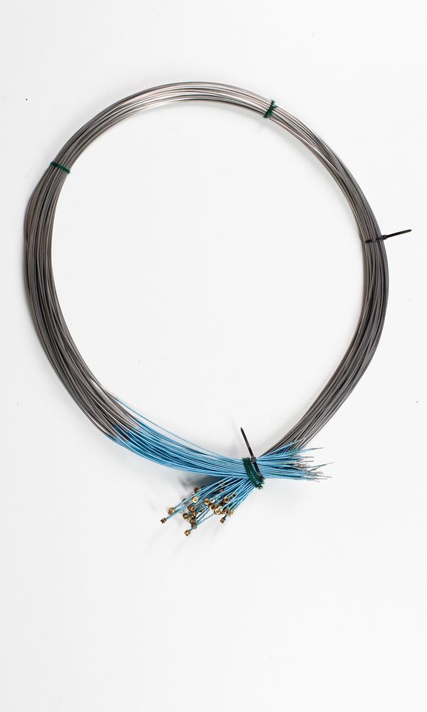 Fifty-one cello C strings