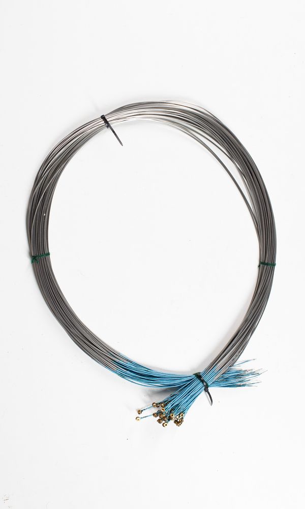 Fifty cello C strings