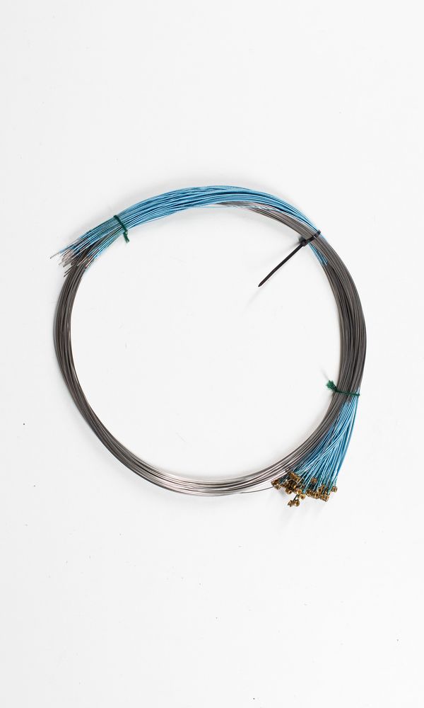 Fifty-one cello D strings