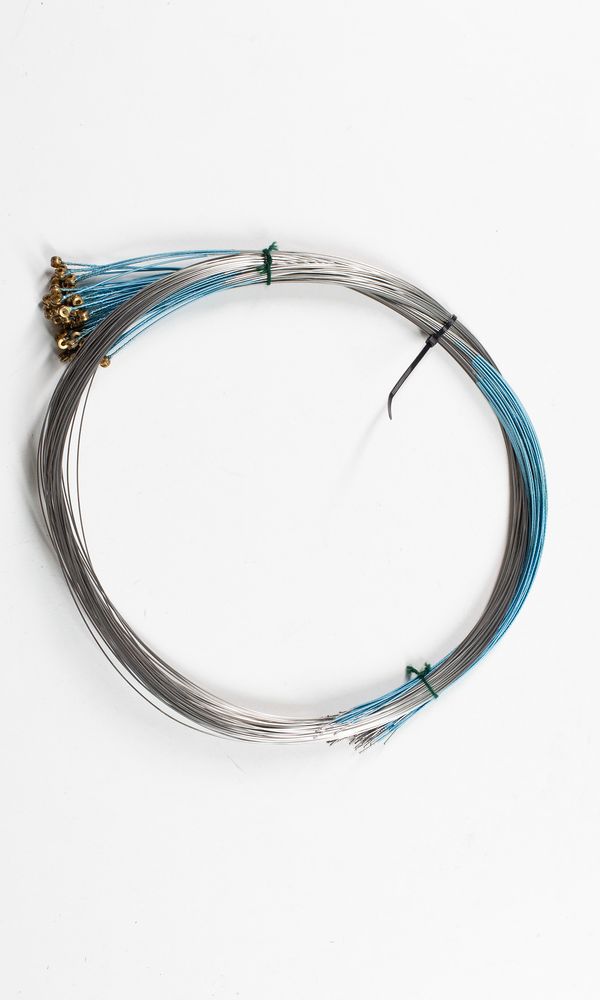 Fifty-one cello D strings