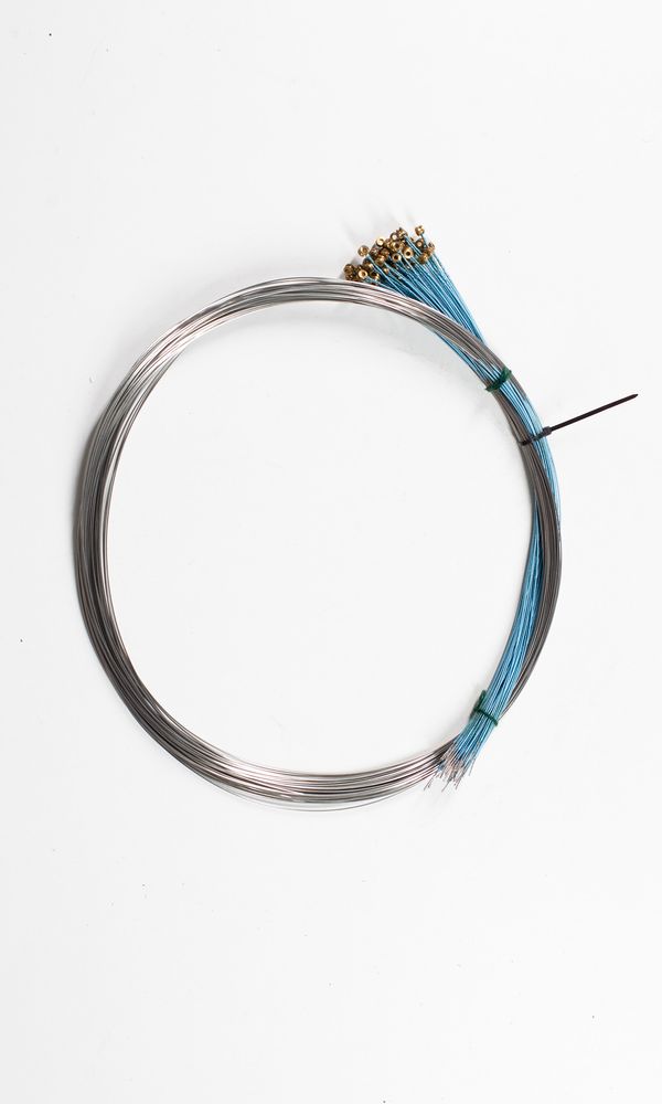 Fifty-one cello D strings