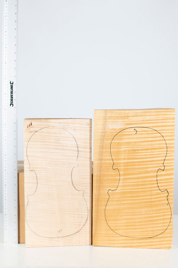 One viola back and two violin backs, maple