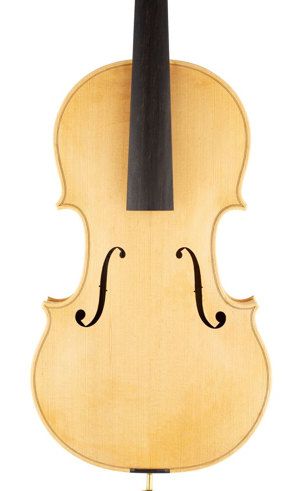 A viola, labelled Derek Vaughan