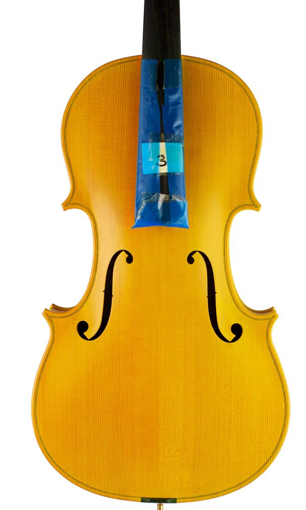 A viola, labelled Derek Vaughan