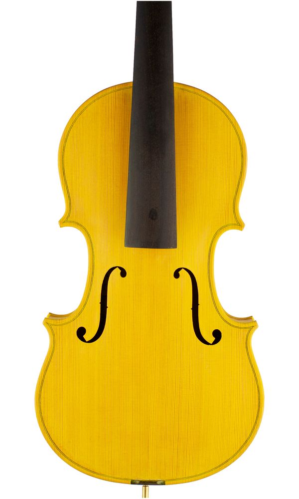 A violin, labelled Derek Vaughan