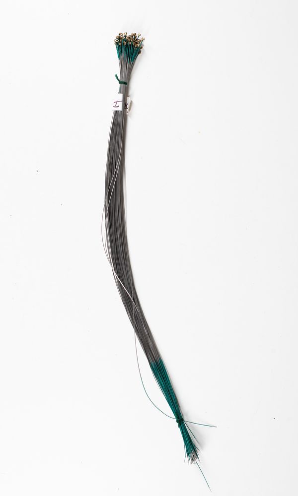 One-hundred violin D strings