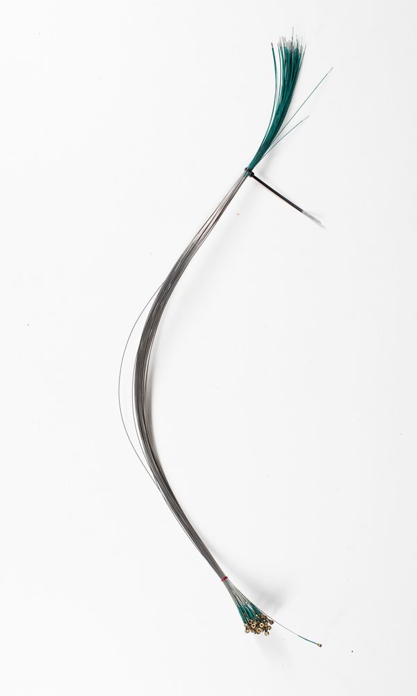 Fifty-two violin D strings