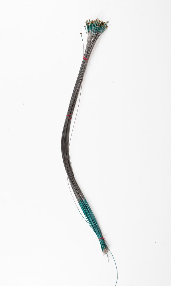 One-hundred violin G strings