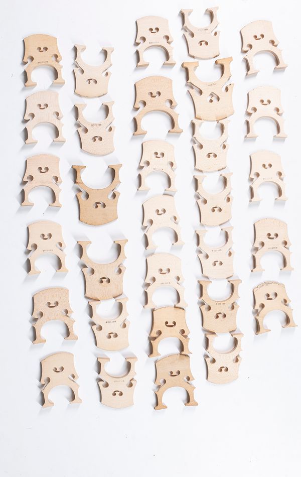 Thirty cello bridges, various sizes