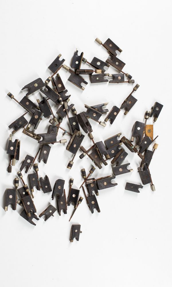 A large quantity of frogs, various sizes