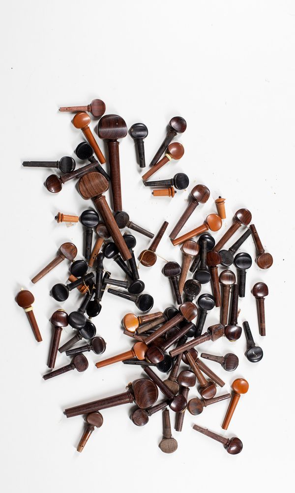 A large quantity of pegs, various sizes