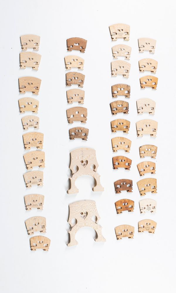 A small quantity of bridges, various sizes