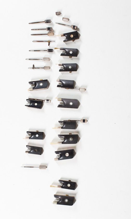 A small collection of frogs