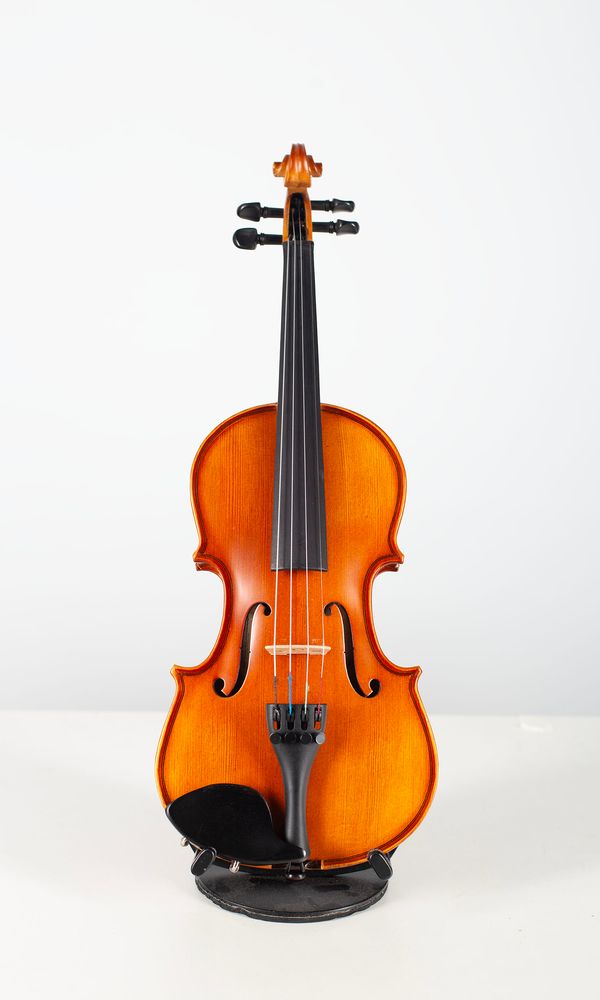 Two quarter-sized violins, labelled Hidersine Vivente