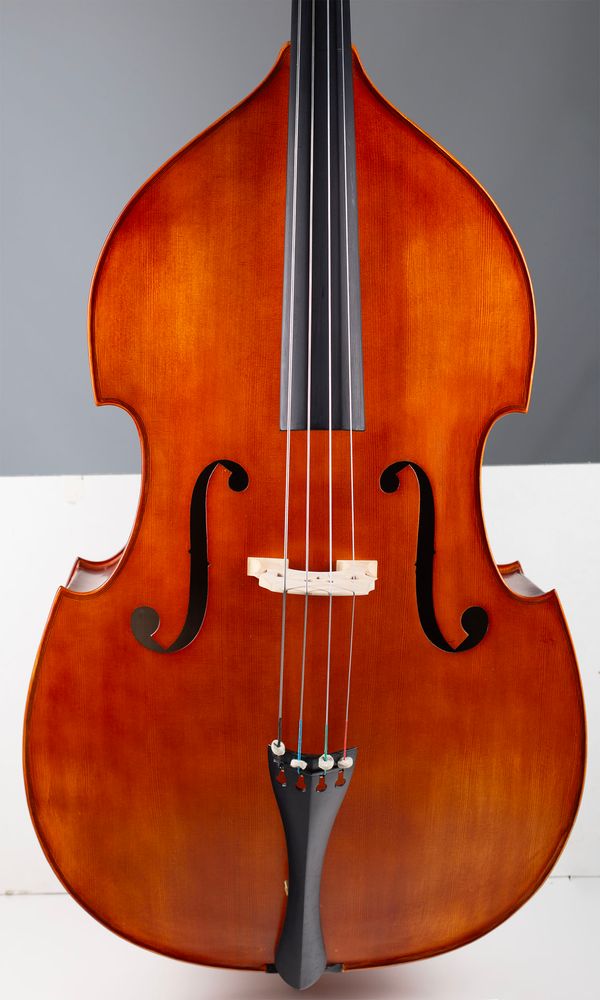 A half-sized double bass, labelled Hidersine Vivente