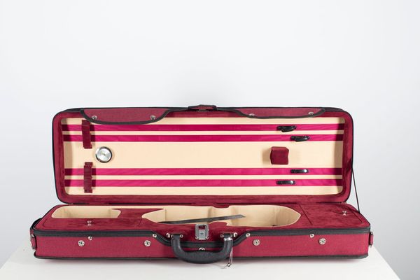 A violin case