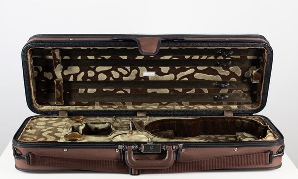 A single violin case