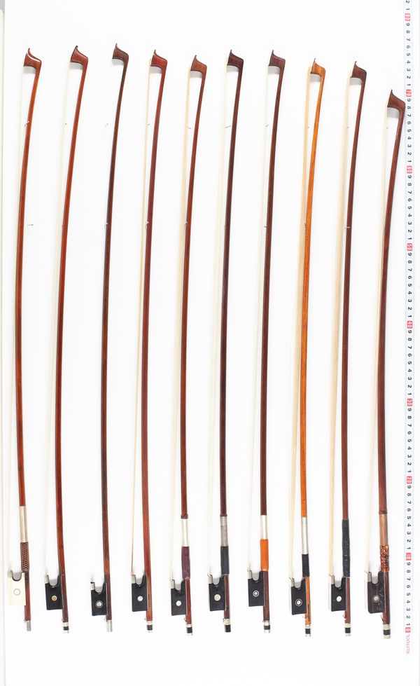 Approximately nineteen violin bows and one cello bow, varying lengths