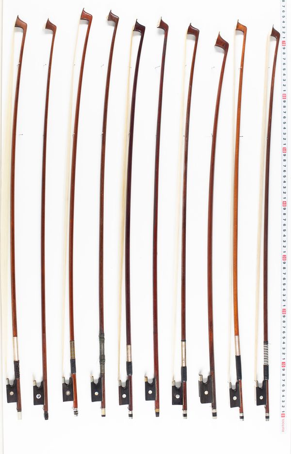 Approximately nineteen violin bows and one cello bow, varying lengths