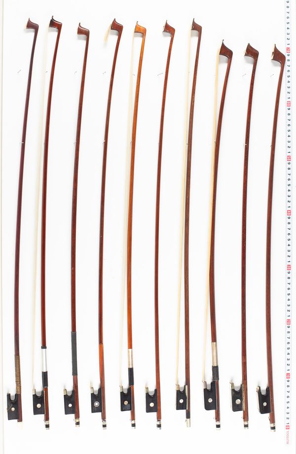 Approximately fifteen violin bows and five cello bows, varying lengths