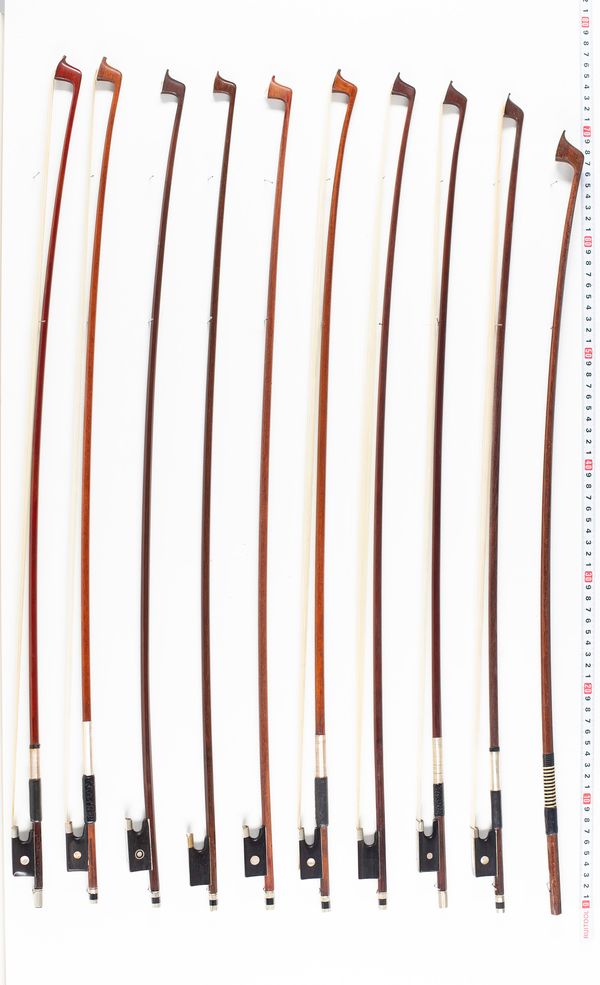 Approximately seventeen violin bows, one cello bow and two cello sticks, varying lengths