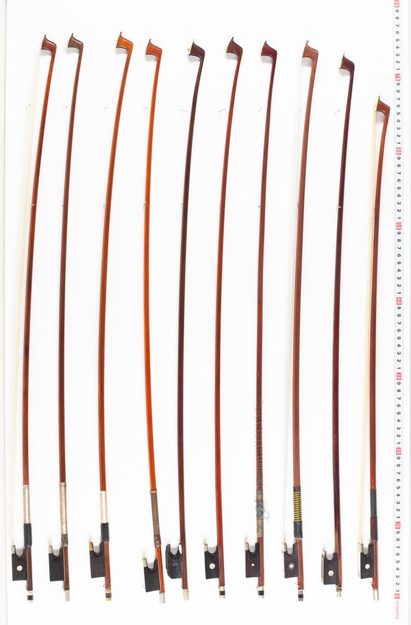 Approximately eighteen violin bows and two cello bows, varying lengths