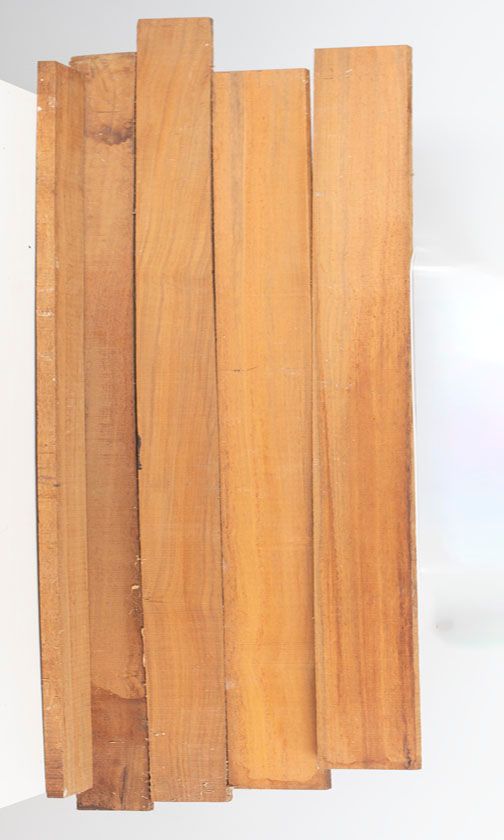 Five pieces of pernambuco