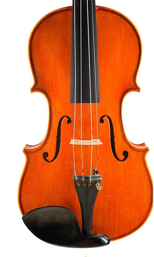 A violin