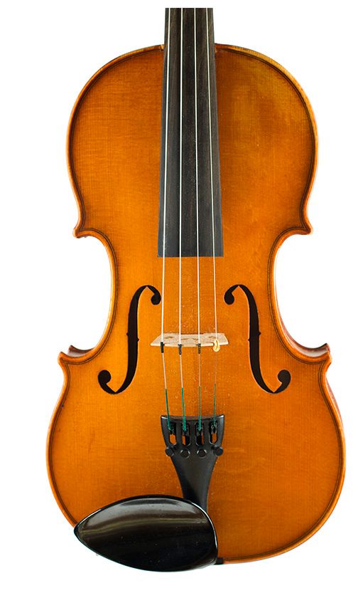 A violin