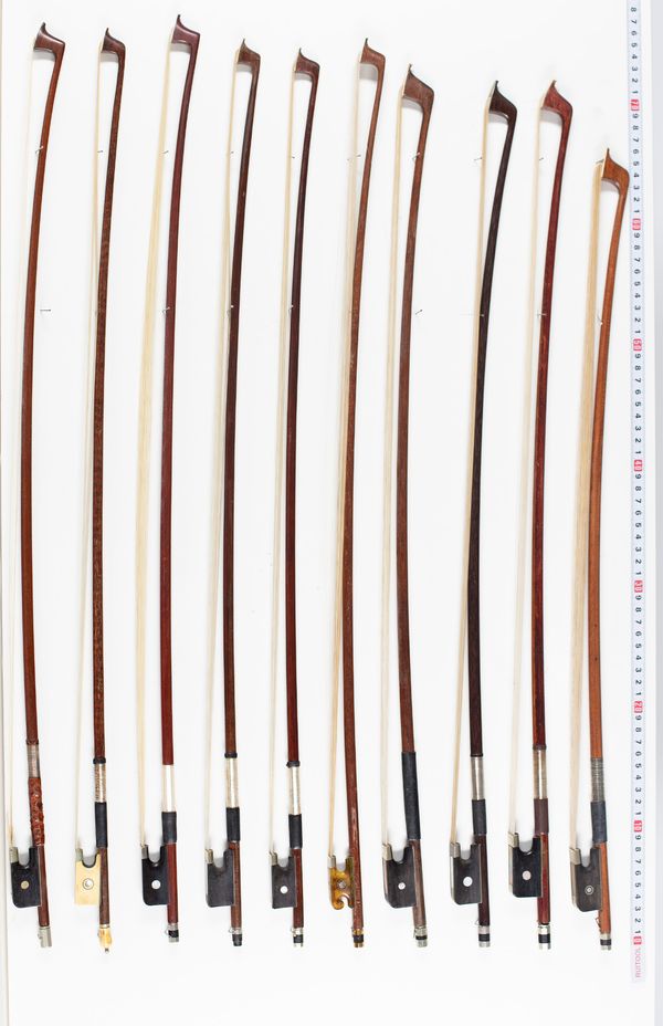 Eight violin bows and six cello bows, varying lengths