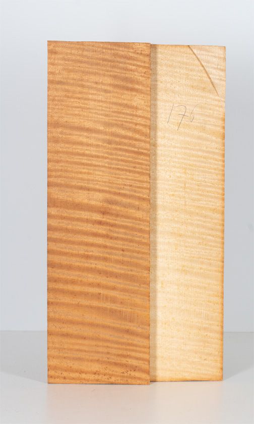 A two-piece maple violin back