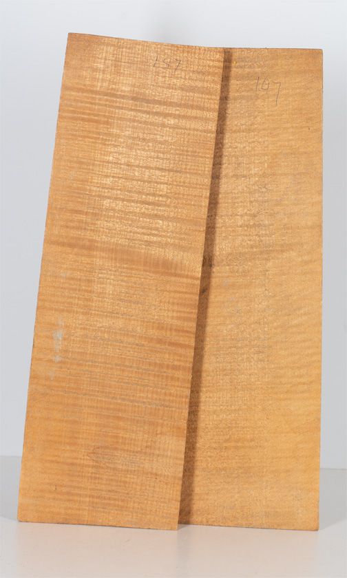 A two-piece maple violin back