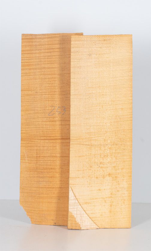 A two-piece maple violin back