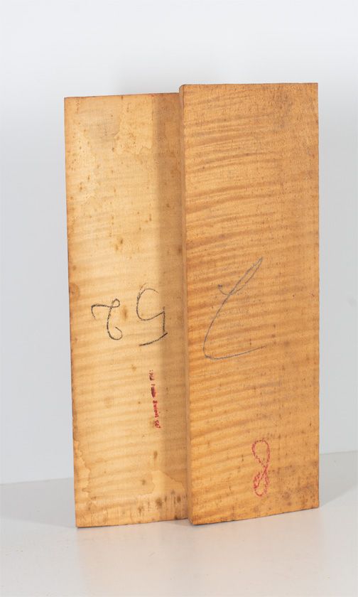 A two-piece maple violin back