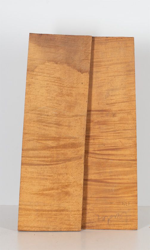 A two-piece maple violin back