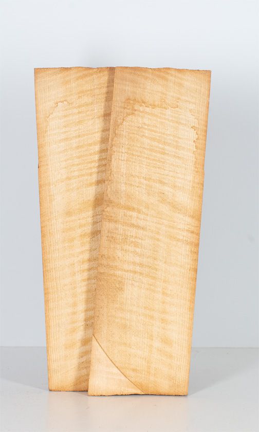 A two-piece maple violin back