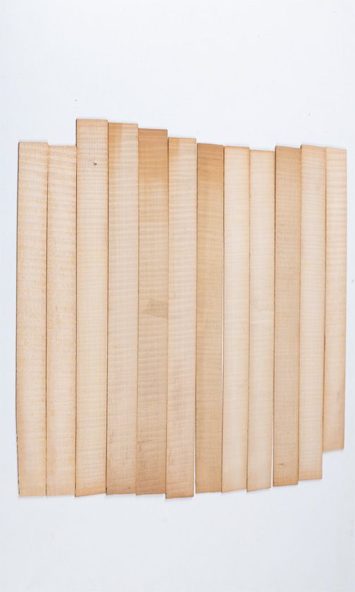 Twelve maple violin rib blanks